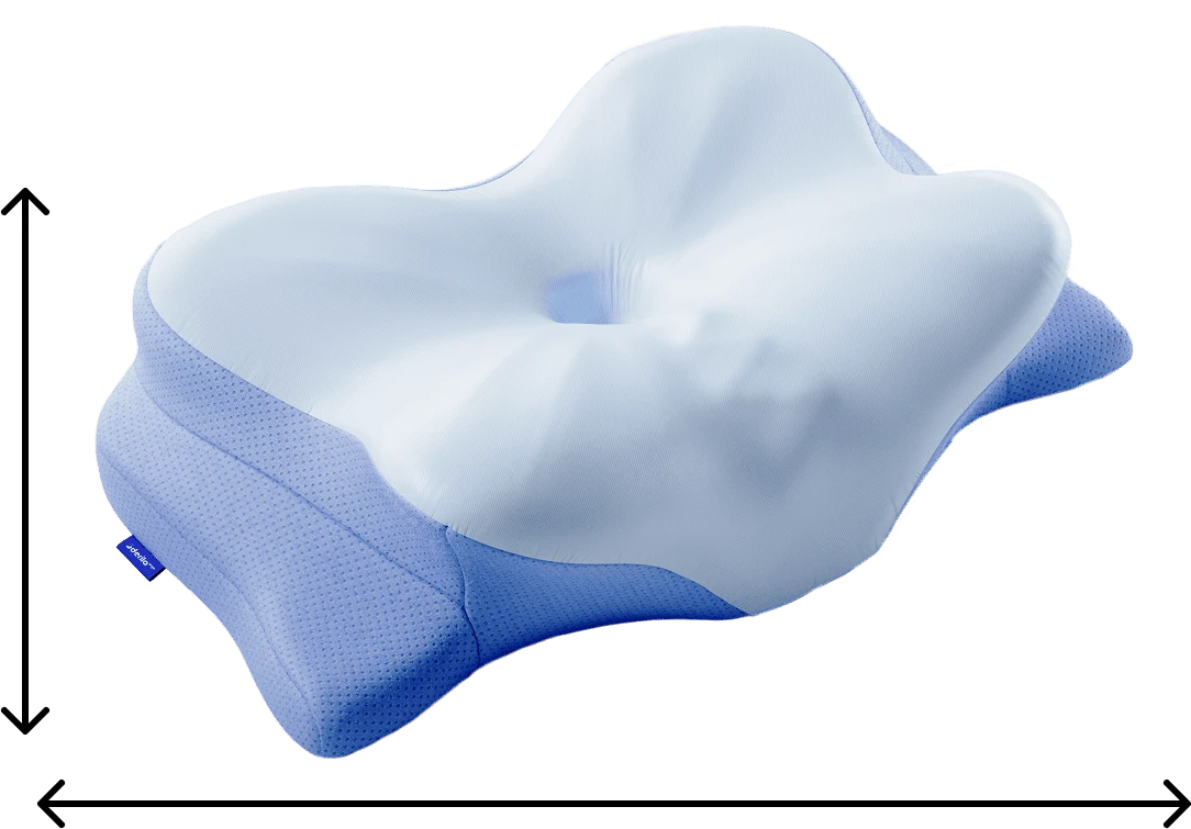 Derila Ergo pillow dimension diagram showing length 54 cm / 21.2 in and width 36 cm / 14.1 in